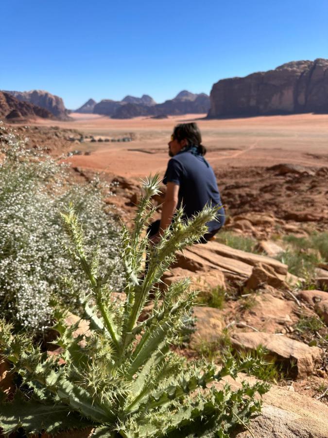 Bedouin Future Camp Hotel วาดิรัม ภายนอก รูปภาพ