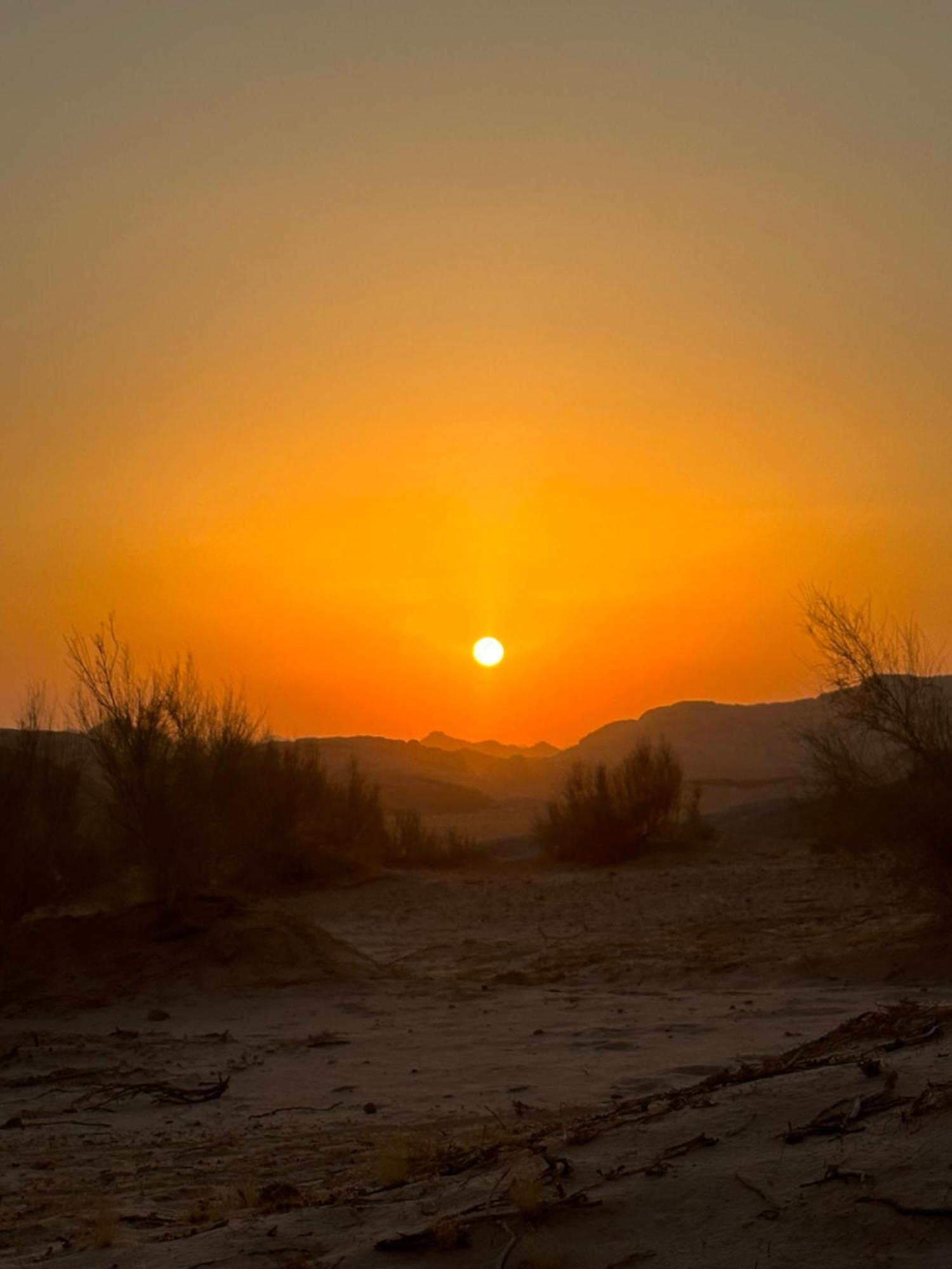 Bedouin Future Camp Hotel วาดิรัม ภายนอก รูปภาพ