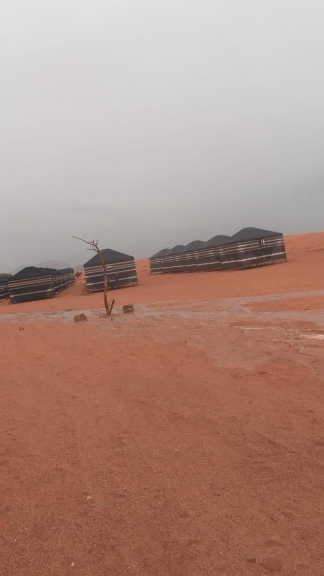 Bedouin Future Camp Hotel วาดิรัม ภายนอก รูปภาพ