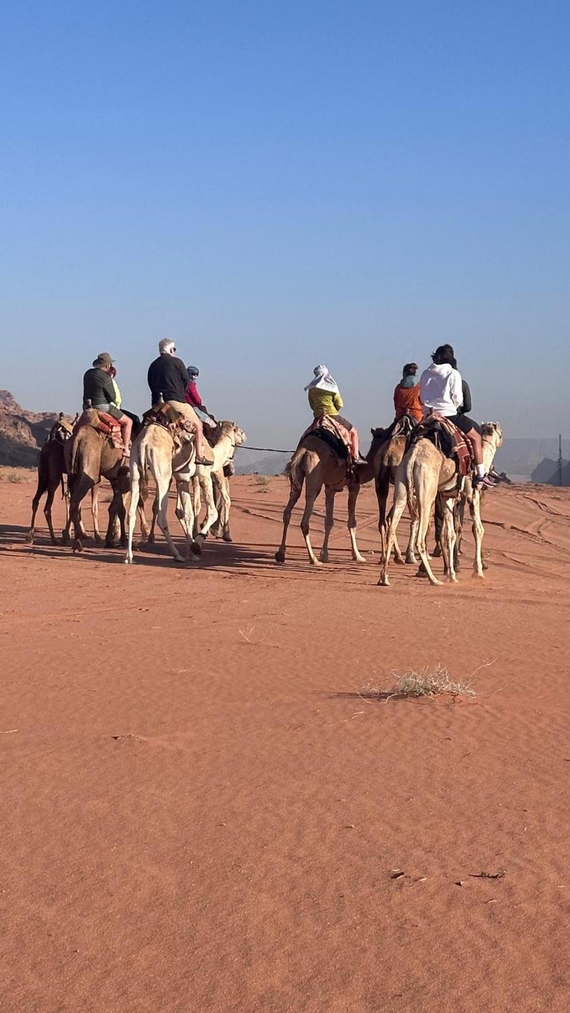 Bedouin Future Camp Hotel วาดิรัม ภายนอก รูปภาพ