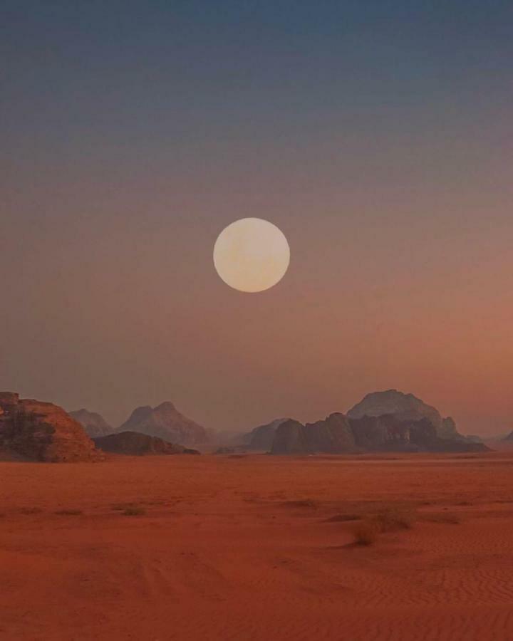 Bedouin Future Camp Hotel วาดิรัม ภายนอก รูปภาพ